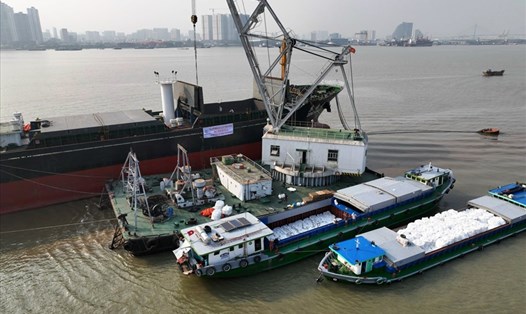 Tàu quốc tế DONG HONG đón lô gạo xuất khẩu của Trung An sang thị trường Hàn Quốc hôm 6.1.2022. Ảnh: T.Bình