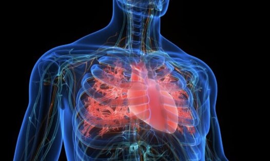 Một bệnh viện tại Israel thông báo phát hiện ca viêm tim đầu tiên liên quan đến biến thể Omicron. Ảnh chụp màn hình