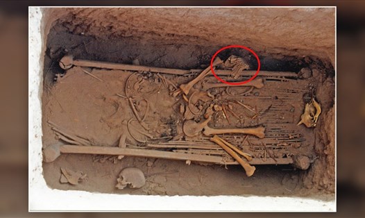 Bộ áo giáp làm từ hơn 5.000 vảy da (khoanh đỏ) được phát hiện trong mộ cổ Trung Quốc. Ảnh: Bảo tàng Turfan
