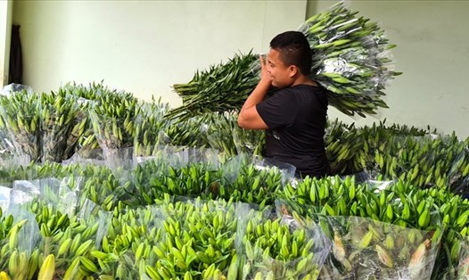 Hà Nội tổ chức 78 điểm chợ hoa Xuân và kiên quyết dẹp bỏ những điểm chợ tự phát. Ảnh: Vũ Long