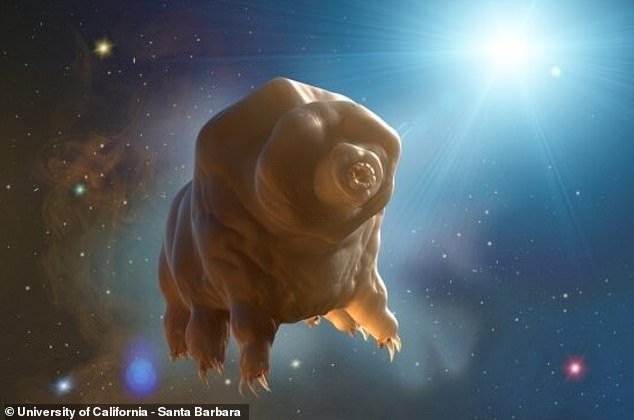 Tardigrades có thể tồn tại ở nhiệt độ, áp suất và bức xạ khắc nghiệt. Ảnh minh họa Tardigrades trong không gian của Đại học California