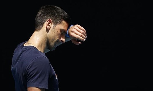 Khi chính phủ Australia chưa có phán quyết, Novak Djokovic vẫn là hạt giống số 1 của giải đơn nam tại Australian Open 2022. Ảnh: AO