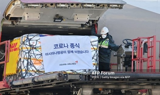 Lô thuốc kháng virus Paxlovid của Pfizer đầu tiên đến Hàn Quốc, ngày 13.1.2022. Ảnh: AFP