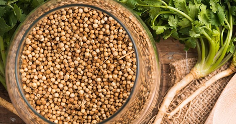 7 lợi ích sức khỏe tuyệt vời của hạt rau mùi ít người biết