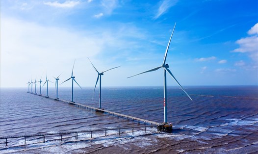 Nhà máy điện gió Đông Hải 1 có 25 trụ điện gió với tổng công suất 100 MW.   Ảnh: T.N.