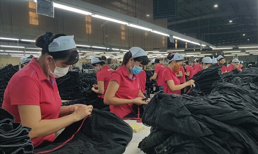 Nhiều doanh nghiệp trên địa bàn tỉnh Ninh Bình đang phải đối mặt với nguy cơ thiếu hụt lao động. Ảnh: NT