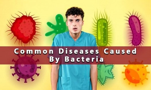 Một số loại vi khuẩn gây ra nhiều vấn đề về sức khỏe. Ảnh: Boldsky