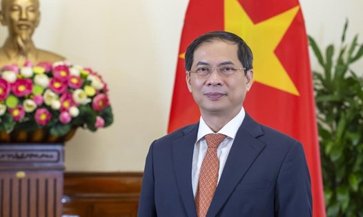 Bộ trưởng Bộ Ngoại giao Bùi Thanh Sơn. Ảnh: BNG