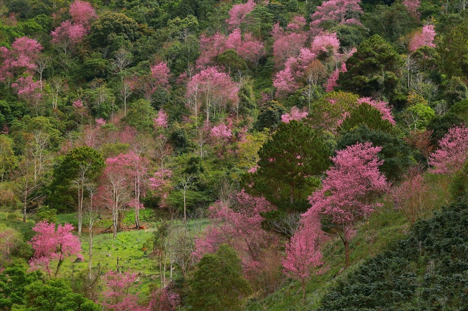 Đà Lạt, Hạ Long và Vũng Tàu vinh dự được nhận giải  thưởng "Thành phố Du lịch sạch" tại Diễn đàn Du lịch Đông Nam Á - ATF 2022. Ảnh: Sam Sam