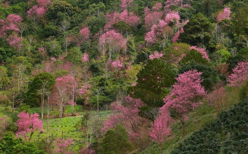 Đà Lạt, Hạ Long và Vũng Tàu vinh dự được nhận giải  thưởng "Thành phố Du lịch sạch" tại Diễn đàn Du lịch Đông Nam Á - ATF 2022. Ảnh: Sam Sam