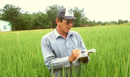 Anh hùng Lao động Hồ Quang Cua, người đưa lúa thơm xuống ao tôm để trở thành mô hình Lúa thơm - tôm sạch. Ảnh: Nhân vật cung cấp