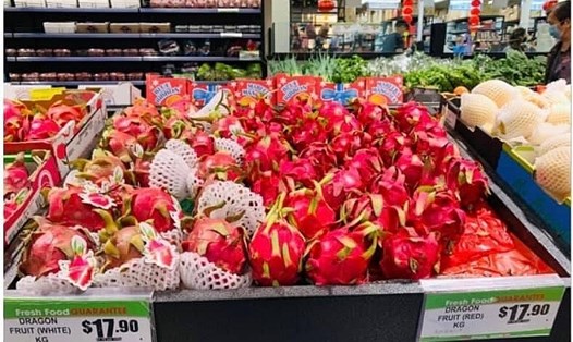 Thanh long Việt Nam tại các siêu thị của Australia. Ảnh: Thương vụ VN tại Australia