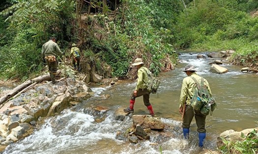 Lực lượng quản lý bảo vệ rừng ở Đắk Nông tuần tra kiểm soát địa bàn. Ảnh: Phan Tuấn