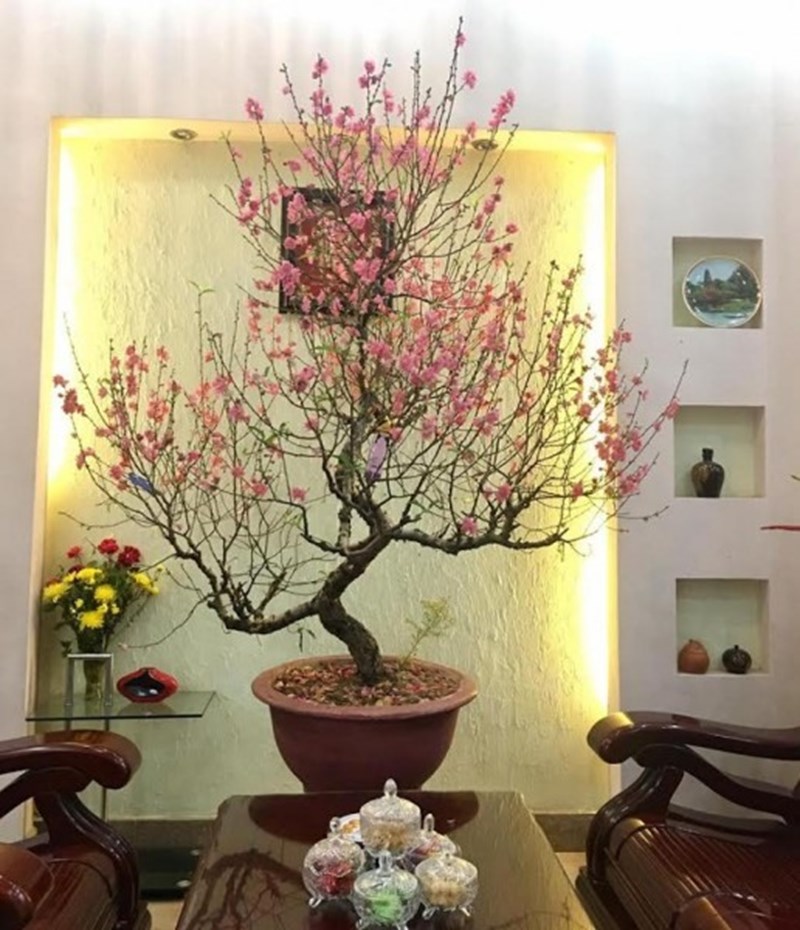 Nét đẹp của Nụ hoa đào đẹp trong văn hoá Á Đông