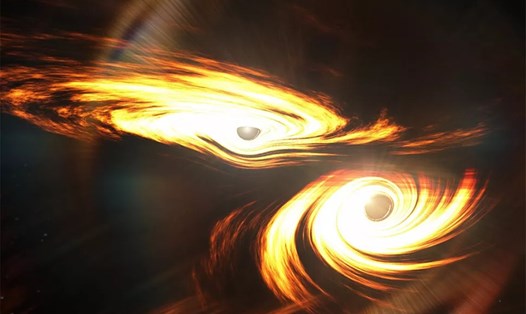 Ảnh minh họa một vụ hợp nhất giữa 2 hố đen. Ảnh: Mark Myers, ARC Centre of Excellence for Gravitational Wave Discovery (OzGrav)