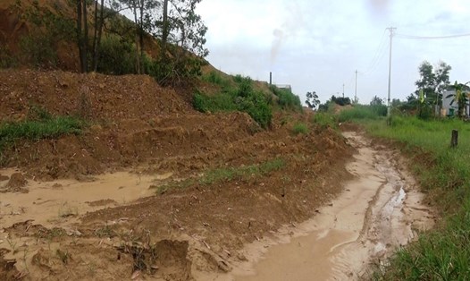 Nhà máy gạch Tuynel Phổ Hòa làm chài bùn, đất ra bên ngoài khiến nhiều hộ dân phải bỏ ruộng hoang. Ảnh: Chí Đại
