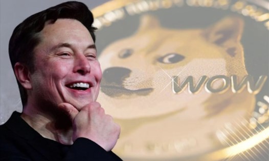 Elon Musk thách thức McDonald’s chấp nhận thanh toán bằng DogeCoin. Ảnh: AFP