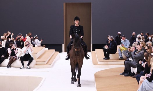 Ngựa xuất hiện trong buổi diễn của Chanel. Ảnh: Tân Hoa Xã