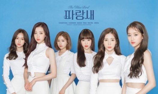 Nhóm nhạc nữ Hàn Quốc April chính thức tan rã. Ảnh: DSP Media