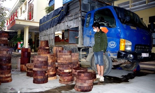 Bắt giữ xe chở lượng lớn gỗ nghiến trái phép tại Hà Giang. Ảnh: CAHG