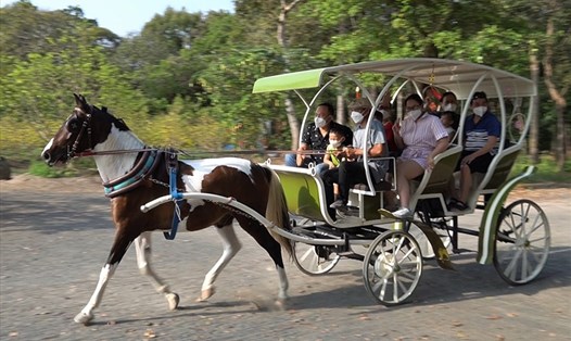 Du khách tham quan bằng xe ngựa trong một khu du lịch tại Bà Rịa - Vũng Tàu chiều 28 Tết. Ảnh: T.A