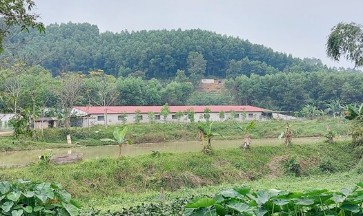Trang trại chăn nuôi lợn của anh Lưu Văn Anh ở thôn Hà Sơn, xã Quang Diệm bị phạt 30 triệu đồng do không đảm bảo về môi trường. Ảnh: Trần Tuấn.
