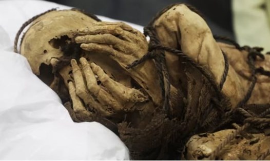 Cận cảnh xác ướp 1.000 năm bị trói trong tư thế bào thai khai quật được tại địa điểm khảo cổ Cajamarquilla ở Peru. Ảnh: National University of San Marcos
