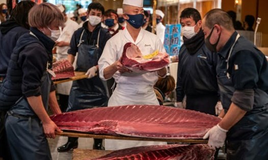 Cuộc đấu giá cá ngừ đầu năm mới diễn ra ngày 5.1 ở Tokyo, Nhật Bản. Ảnh: AFP