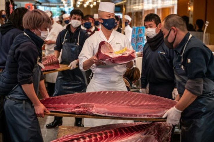 Cá ngừ Nhật Bản bán được 145.000 USD trong phiên đấu giá mở hàng năm 2022