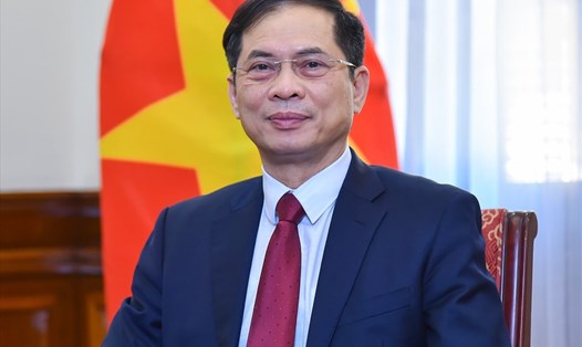 Bộ trưởng Ngoại giao Bùi Thanh Sơn. Ảnh: Bộ Ngoại giao