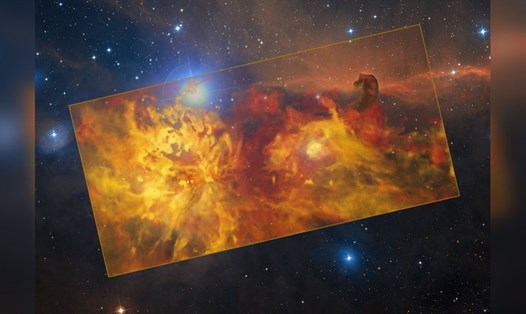 "Đám cháy rừng" trong hình ảnh này thực sự là tinh vân Ngọn Lửa trong chòm sao Orion. Ảnh: ESO/Th. Stanke & ESO/J. Emerson/VISTA. Acknowledgment: Cambridge Astronomical Survey Unit