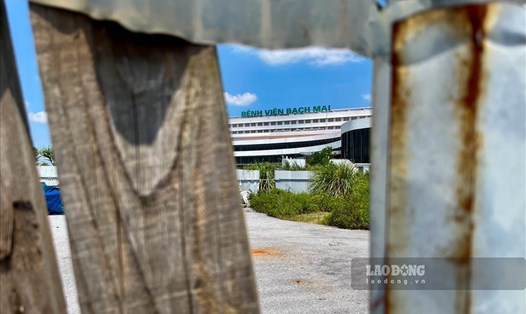 Bệnh viện Bạch Mai cơ sở 2 bị bỏ hoang, cỏ dại phủ kín lối đi, sau 8 năm khởi công. Ảnh: Thiều Trang