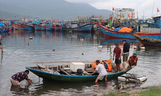 Âu thuyền Thọ Quang, nơi neo đậu tàu thuyền tránh bão ở Đà Nẵng. Ảnh: Tường Minh