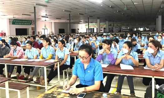 LĐLĐ tỉnh Tuyên Quang tư vấn chính sách bảo hiểm cho người lao động. Ảnh: CĐTQ