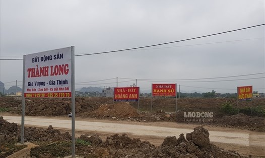 Tình trạng đấu giá quyền sử dụng đất trên địa bàn tỉnh Ninh Bình còn tồn tại nhiều hạn chế, bất cập. Ảnh: NT