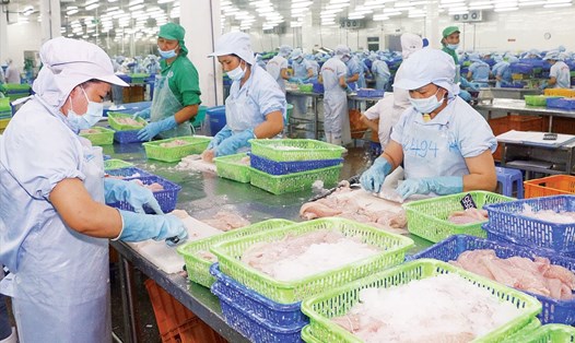 Thủy sản của Việt Nam là một trong những ngành xuất khẩu trên 2 tỉ USD. Ảnh: Vasep