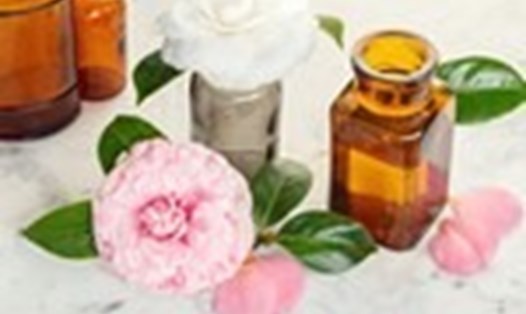 Bạn nên thử dùng dầu hoa trà trong bước dưỡng ẩm cho làn da để thấy được những hiệu quả không ngờ