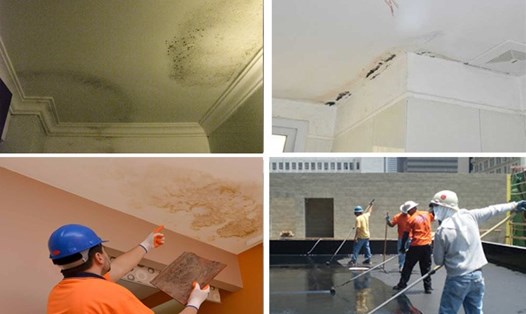 Khi trần nhà bị thấm nước sẽ gây hiện tượng ẩm mốc, gây nứt nẻ trần nhà, làm mất đi tính thẩm mỹ của toàn bộ không gian. Đồ họa: Khương Duy