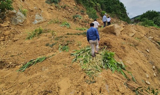 Các huyện miền núi Quảng Nam chủ động tích trữ lương thực phòng bị cô lập do mưa lũ. Ảnh: TT