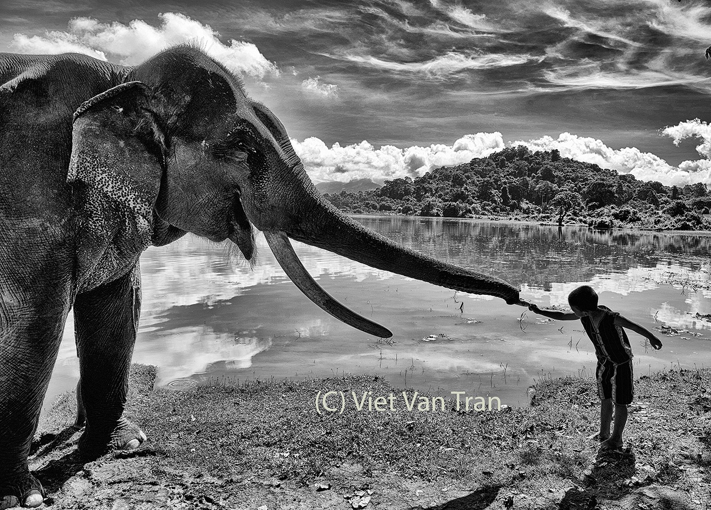 “Sự kết nối” của Việt Văn- giải ba quốc tế tại Áo- EPEX 2022.