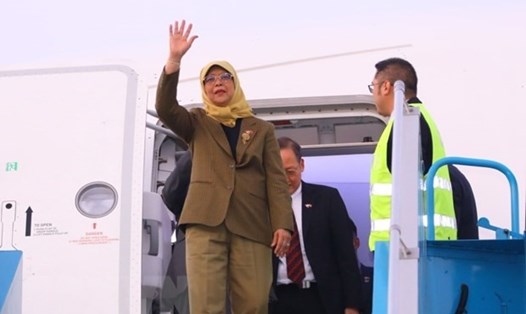 Tổng thống Singapore Halimah Yacob đến sân bay Nội Bài, bắt đầu chuyến thăm cấp nhà nước Việt Nam. Ảnh: TTXVN