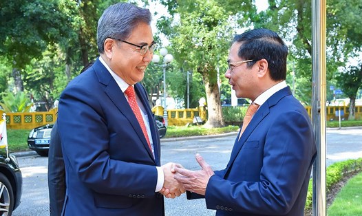 Bộ trưởng Ngoại giao Bùi Thanh Sơn và Bộ trưởng Ngoại giao Hàn Quốc Park Jin. Ảnh: Bộ Ngoại giao