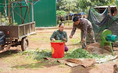 Dự án được triển khai tại Gia Lai. Nguồn: congthuong.vn