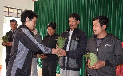 Người dân huyện Tu Mơ Rông nhận cây giống Sâm Ngọc Linh. Ảnh: TTXVN
