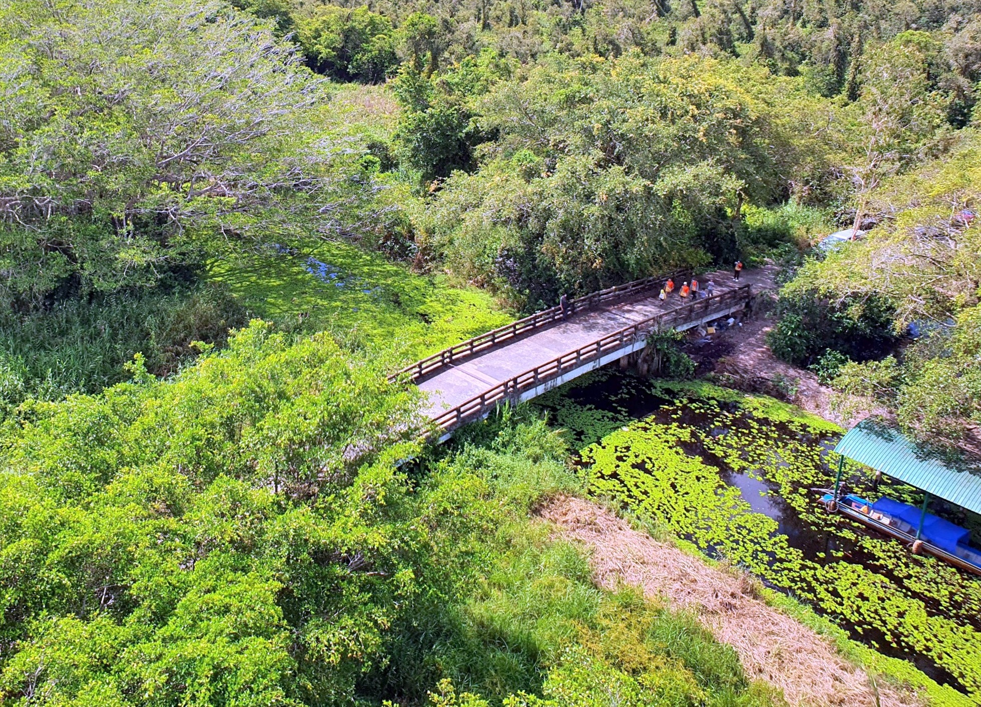 Một góc rừng U Minh hạ, tỉnh Cà Mau. Ảnh: Nhật Hồ