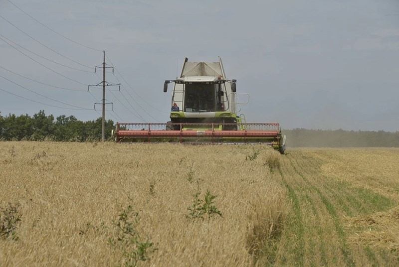Nga đang chờ một vụ thu hoạch ngũ cốc kỷ lục