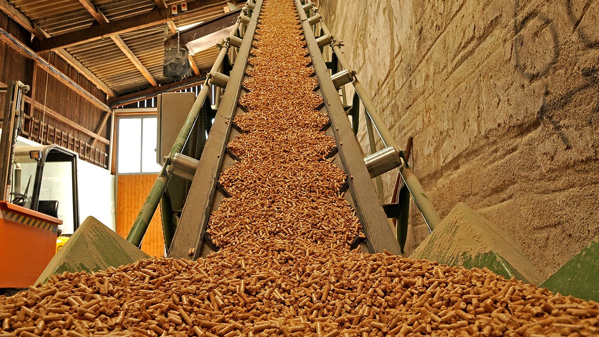 Viên nén và dăm gỗ có thể trở thành mặt hàng xuất khẩu trên 1 tỉ USD