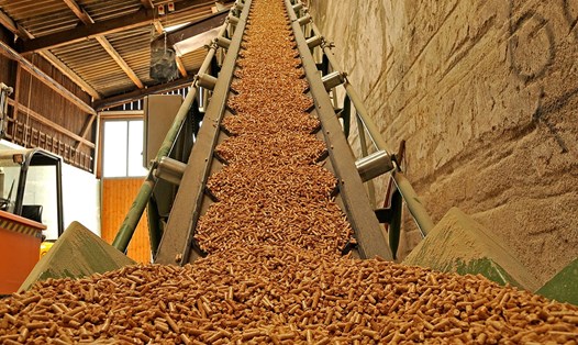 Xuất khẩu viên nén gỗ có cơ hội tăng mạnh trong thời gian tới. Ảnh: TL