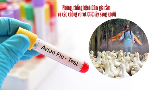 Một bé gái 4 tuổi ở Phú Thọ đang lâm vào tình trạng nguy kịch do nhiễm phải cúm A/H5. Ảnh: CDC PT.