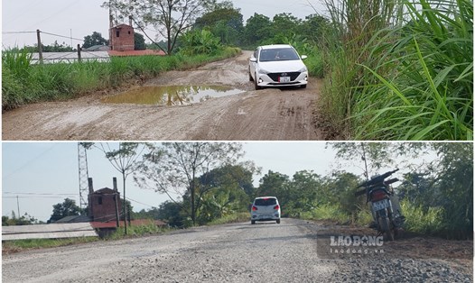 Tuyến đê Tả Thao ven sông Hồng qua địa bàn huyện Thanh Ba xuống cấp đã khẩn trương được tu sửa. Ảnh: Tô Công.